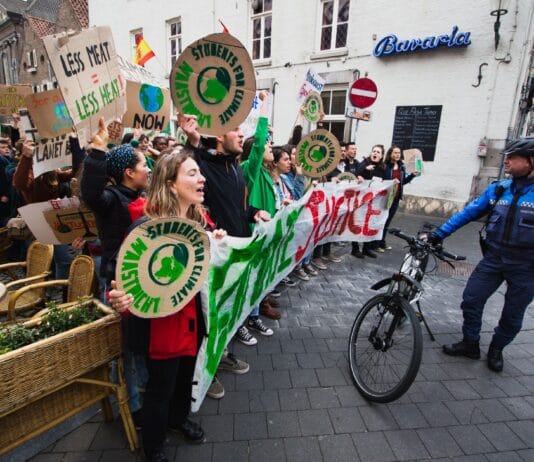 Jak włączać uczniów w działania na rzecz klimatu: praktyczne pomysły dla nauczycieli Młodzi ludzie na demonstracji klimatycznej z transparentami